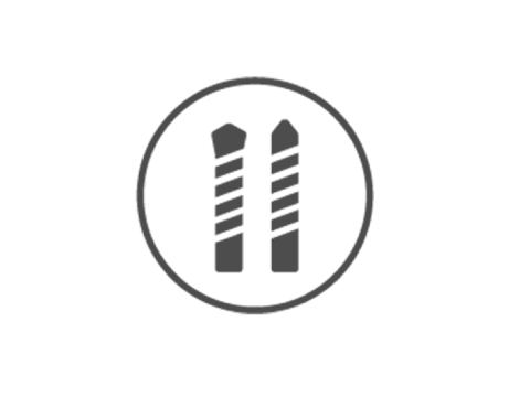 SDS PLUS II V POINTER 8/100/160 531780